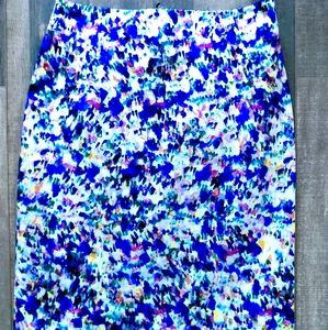 NWOT Ann Taylor Petite Pencil Skirt 2P